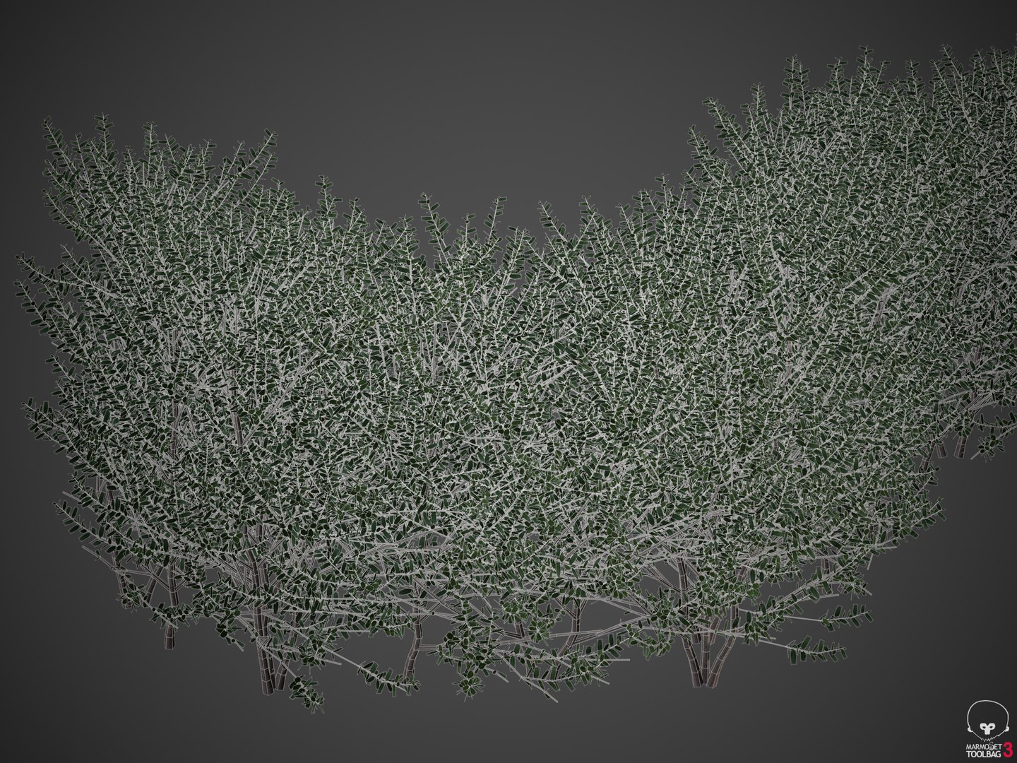 3D plants common boxwood hedges https://p.turbosquid.com/ts-thumb/in/zKaH1j/wo/screenshot000/png/1610556476/1920x1080/fit_q87/64848b48a72f2646b22e824ba6b9c8e21b3871f1/screenshot000.jpg