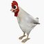 Frango
