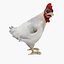 Frango