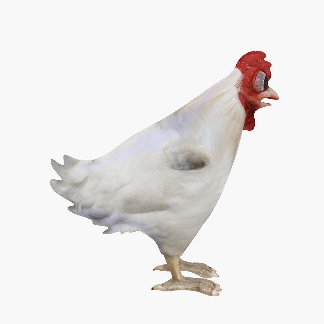 3D chicken rigged https://p.turbosquid.com/ts-thumb/io/6BoSUv/kNYgRZHM/03/jpg/1494096204/1920x1080/fit_q87/c50d5cec6d0e10f7713b0d868f620c061b980acd/03.jpg