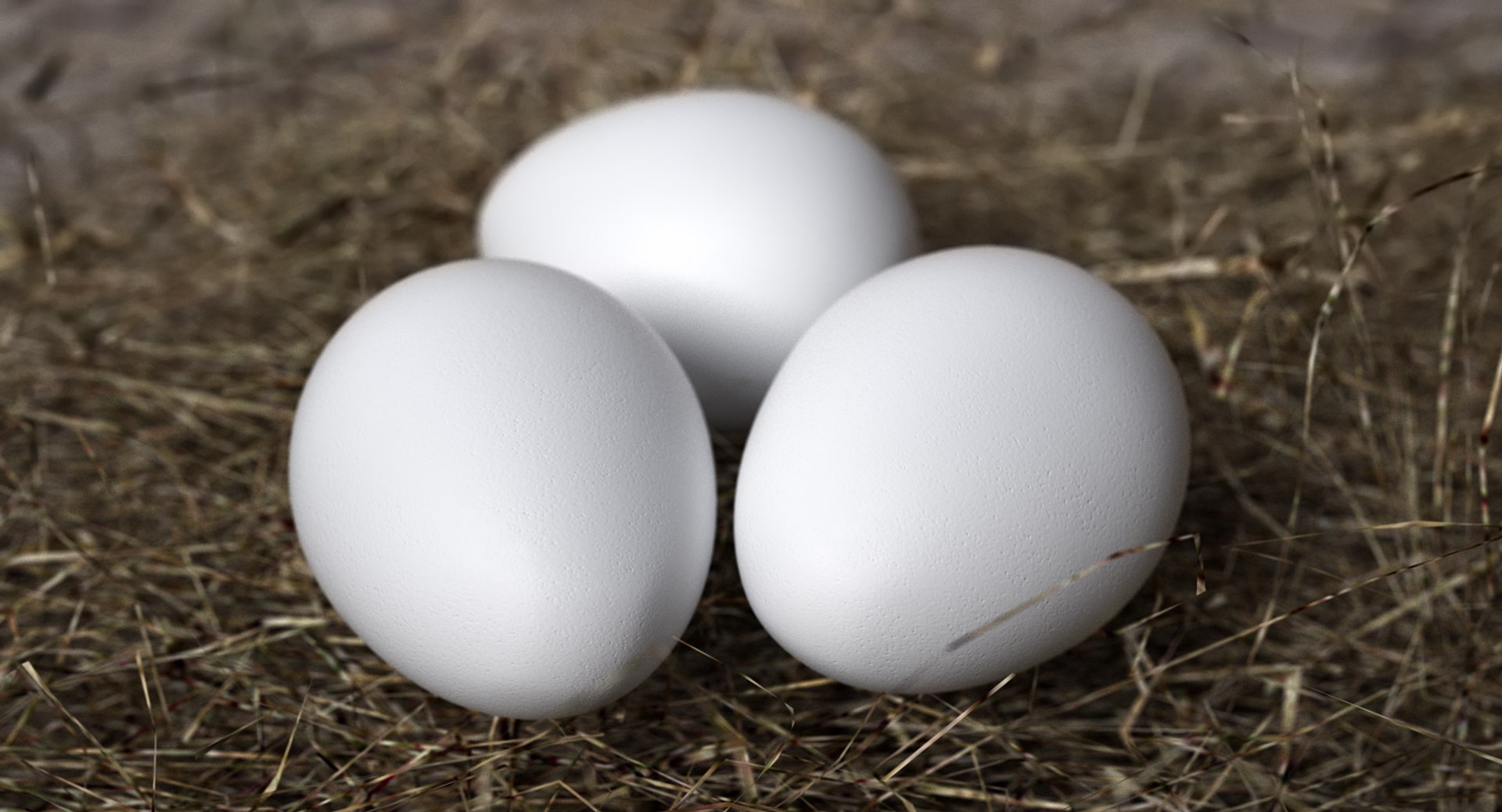 white egg model https://p.turbosquid.com/ts-thumb/io/KWCWAL/Wnyjn9da/whiteegg3dmodel002/jpg/1516950800/1920x1080/fit_q87/dcbffd7f8642fd638c9a41aa10b41167a41114b9/whiteegg3dmodel002.jpg