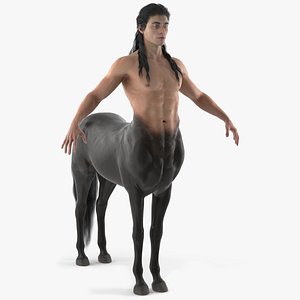 3D Creature Long Hair Centaur A-Pose model