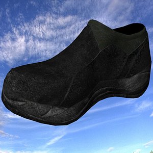 Shoe