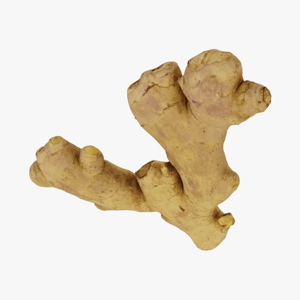 3D model Fresh Ginger Root - Real-Time 3D Scanned