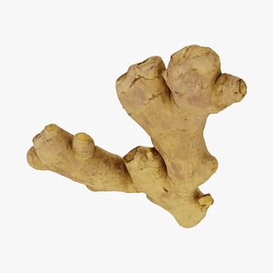 Fresh Ginger Root - Real-Time 3D Scanned