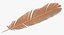 feather modelled model