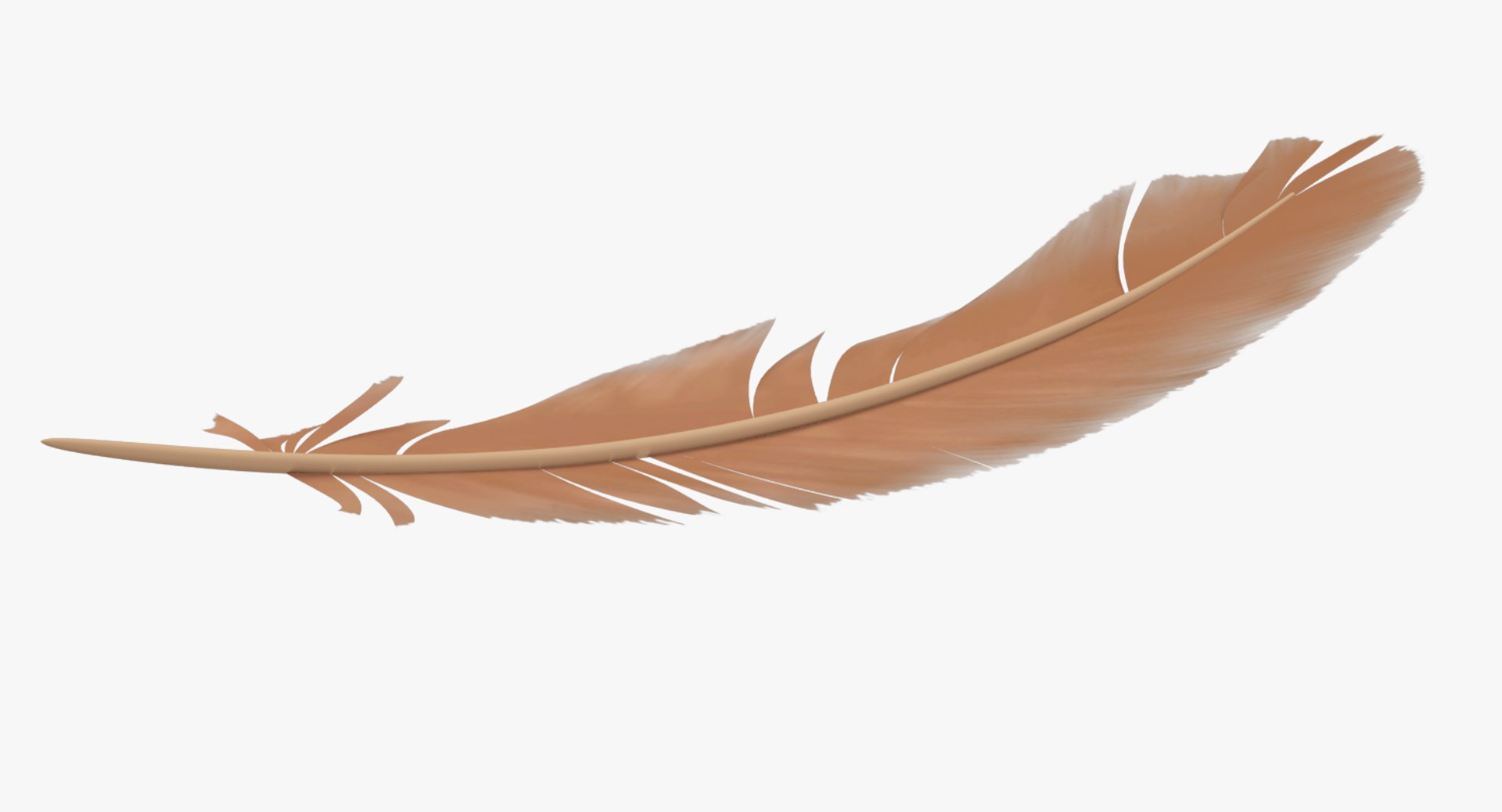 feather modelled model https://p.turbosquid.com/ts-thumb/io/c7TIzG/G4OqVa8r/001copy/png/1523649944/1920x1080/fit_q87/353121a28061f9d3d36c94b888f4edfe42372bb5/001copy.jpg