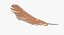 feather modelled model