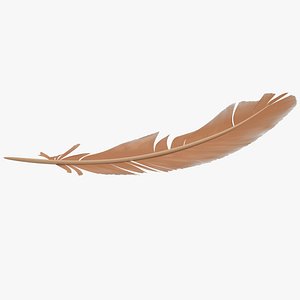 feather modelled model