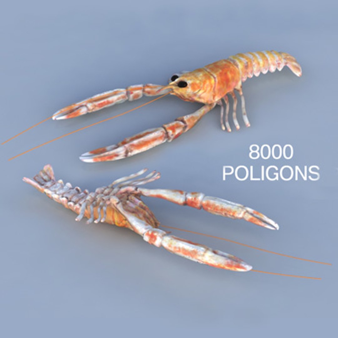 max norway lobster https://p.turbosquid.com/ts-thumb/io/hHqqIb/SUozUtJT/8000400x400/jpg/1256211591/1920x1080/fit_q87/4dfd353f3d860b4a31119673678cc8cfd0c330b4/8000400x400.jpg