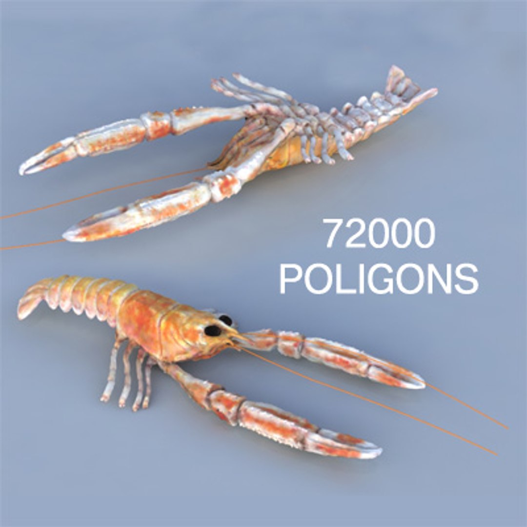 max norway lobster https://p.turbosquid.com/ts-thumb/io/hHqqIb/j8NdOaQX/72000400x400/jpg/1256211566/1920x1080/fit_q87/5392b8b04391ca95f0d34f1cf8f73ce282182a4a/72000400x400.jpg