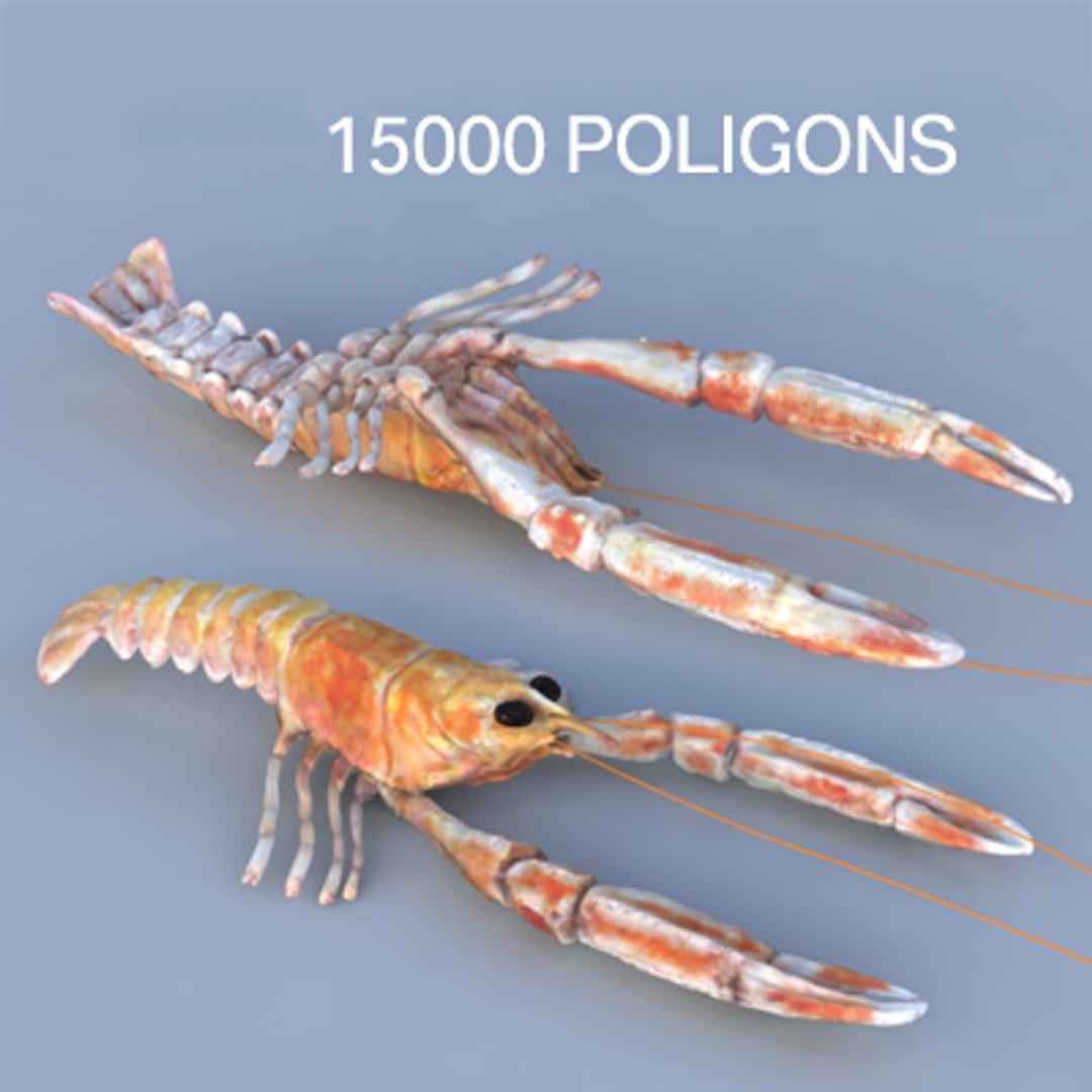 max norway lobster https://p.turbosquid.com/ts-thumb/io/hHqqIb/nJ9kRPGy/15000400x400/jpg/1256211517/1920x1080/fit_q87/55ad9450f1790abde94e2d3dbd2d7226e24c1a56/15000400x400.jpg