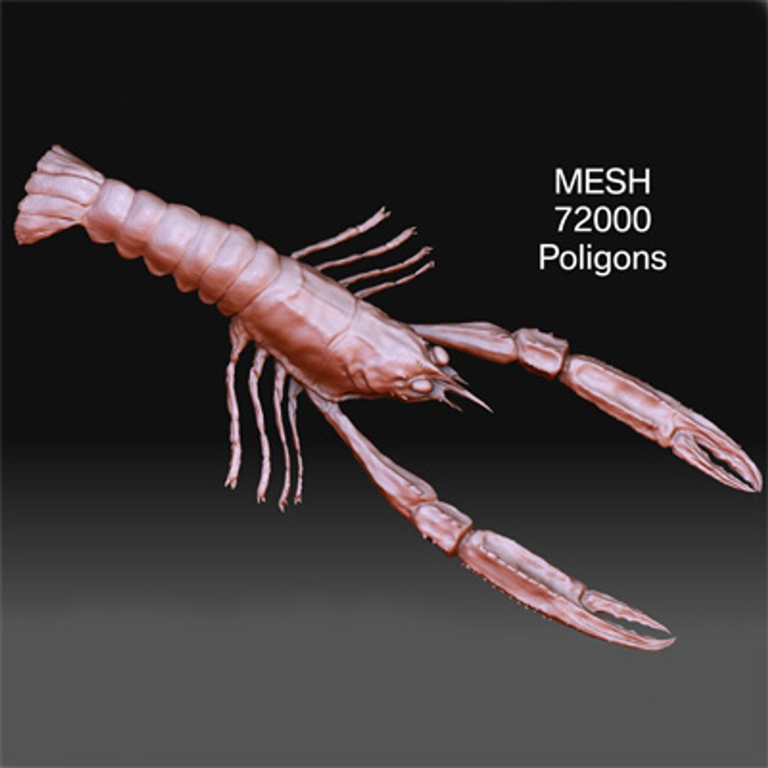 max norway lobster https://p.turbosquid.com/ts-thumb/io/hHqqIb/sXLohWDm/mesh72000front1400x400/jpg/1256213846/1920x1080/fit_q87/87a84d5e74be822318427405c3d36c3be34bdae2/mesh72000front1400x400.jpg
