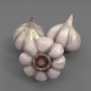 Realistic Garlic with Low Poly Version