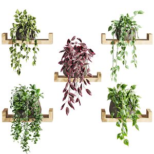 plants set 3D model