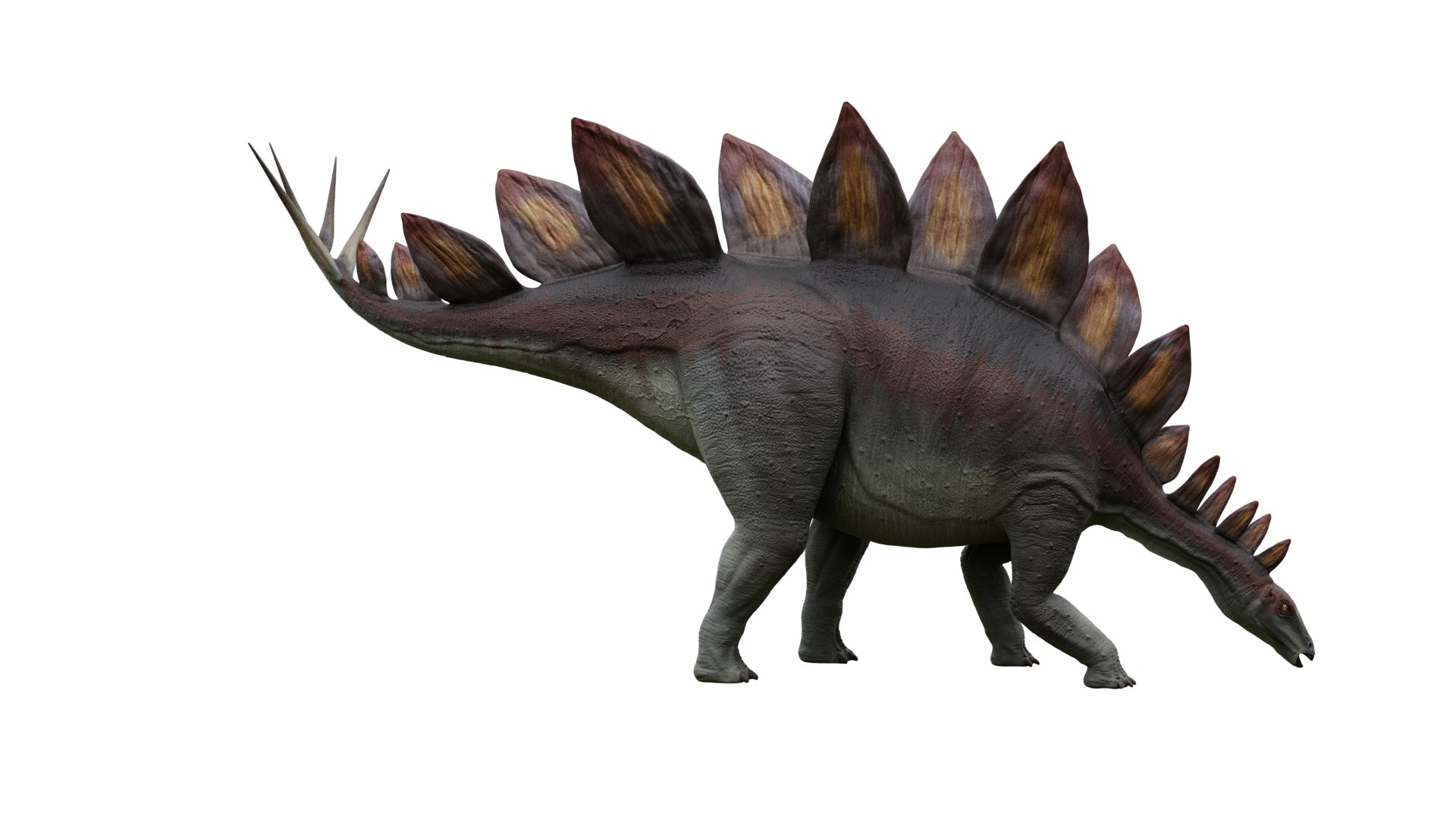 3D Dinosaur Stegosaurus - TurboSquid 1258836