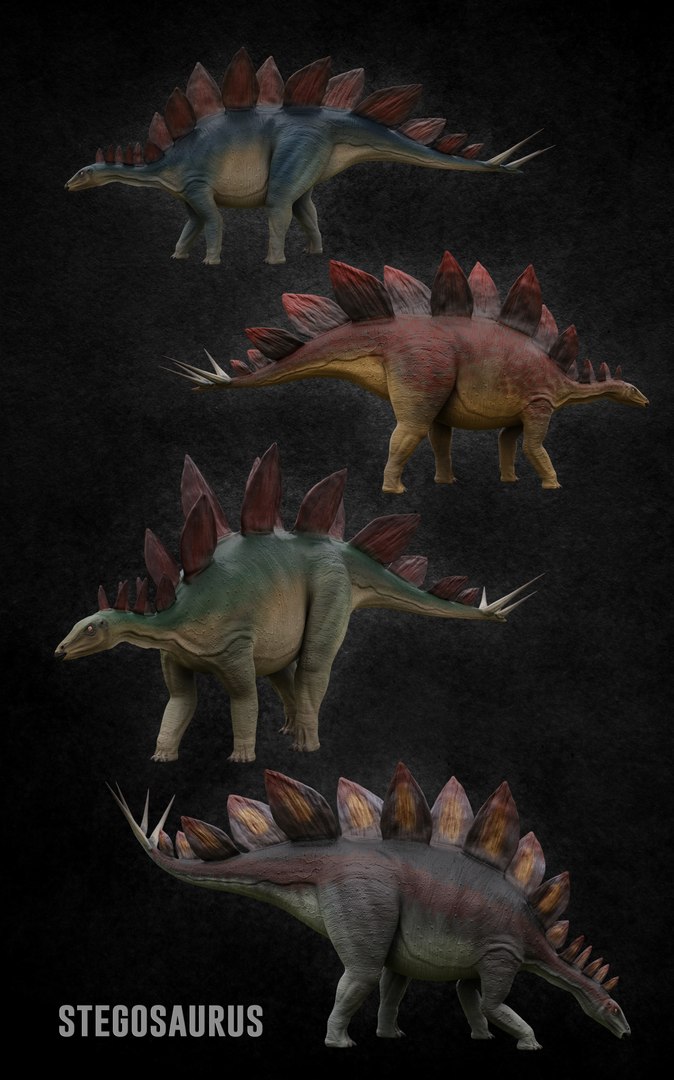 3D Dinosaur Stegosaurus - TurboSquid 1258836