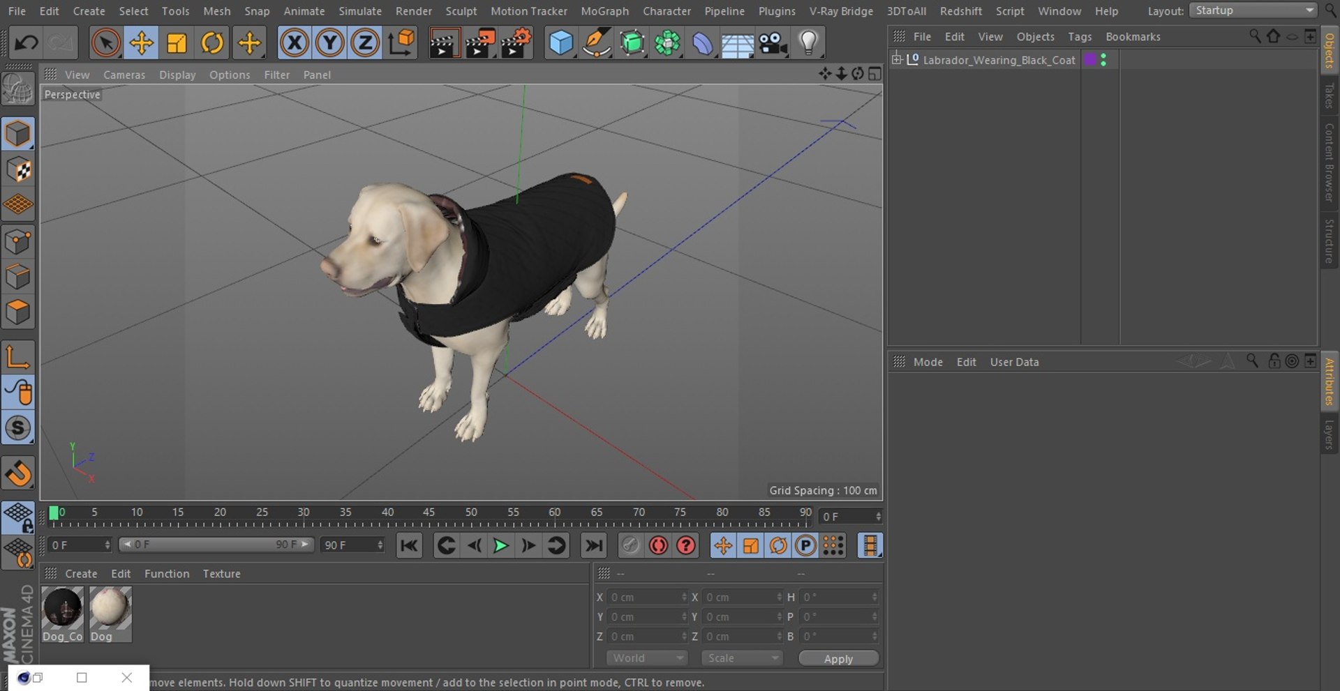 Labrador Wearing Black Coat 3D https://p.turbosquid.com/ts-thumb/ip/AnLWkG/H3/labradorwearingblackcoatc4dmodel025/jpg/1678706716/1920x1080/fit_q87/e86088adf32dc00a958fb64424d57a8562150a2d/labradorwearingblackcoatc4dmodel025.jpg