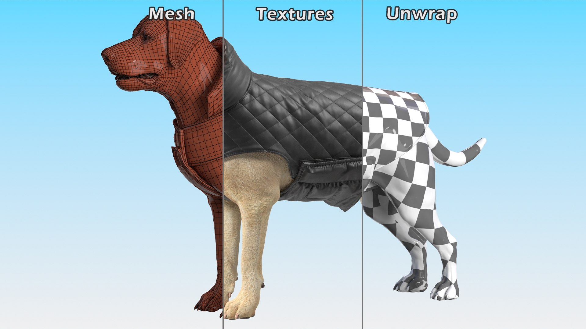 Labrador Wearing Black Coat 3D https://p.turbosquid.com/ts-thumb/ip/AnLWkG/Jd/labradorwearingblackcoatc4dmodel017/jpg/1678706690/1920x1080/fit_q87/25f1cc123b180e5bbaa9bb5c36dc0c6743edb9bd/labradorwearingblackcoatc4dmodel017.jpg