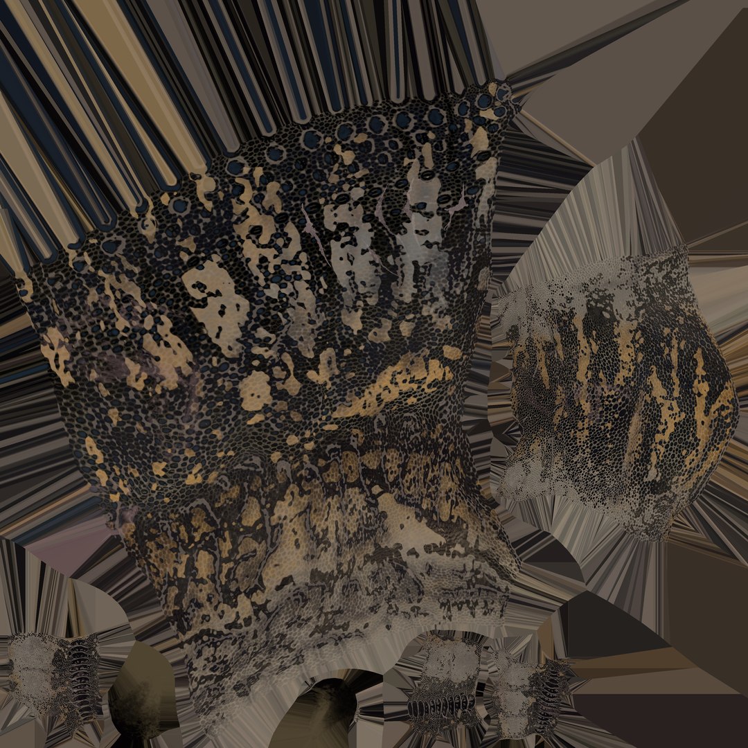 Giganotosaurus Low-poly 3D model 3D model https://p.turbosquid.com/ts-thumb/ip/FYKIyX/0c/1013_4k/jpg/1713625602/1920x1080/fit_q87/bd15ee301b9c1952bc3a1bc15aefe5883c3cbb37/1013_4k.jpg