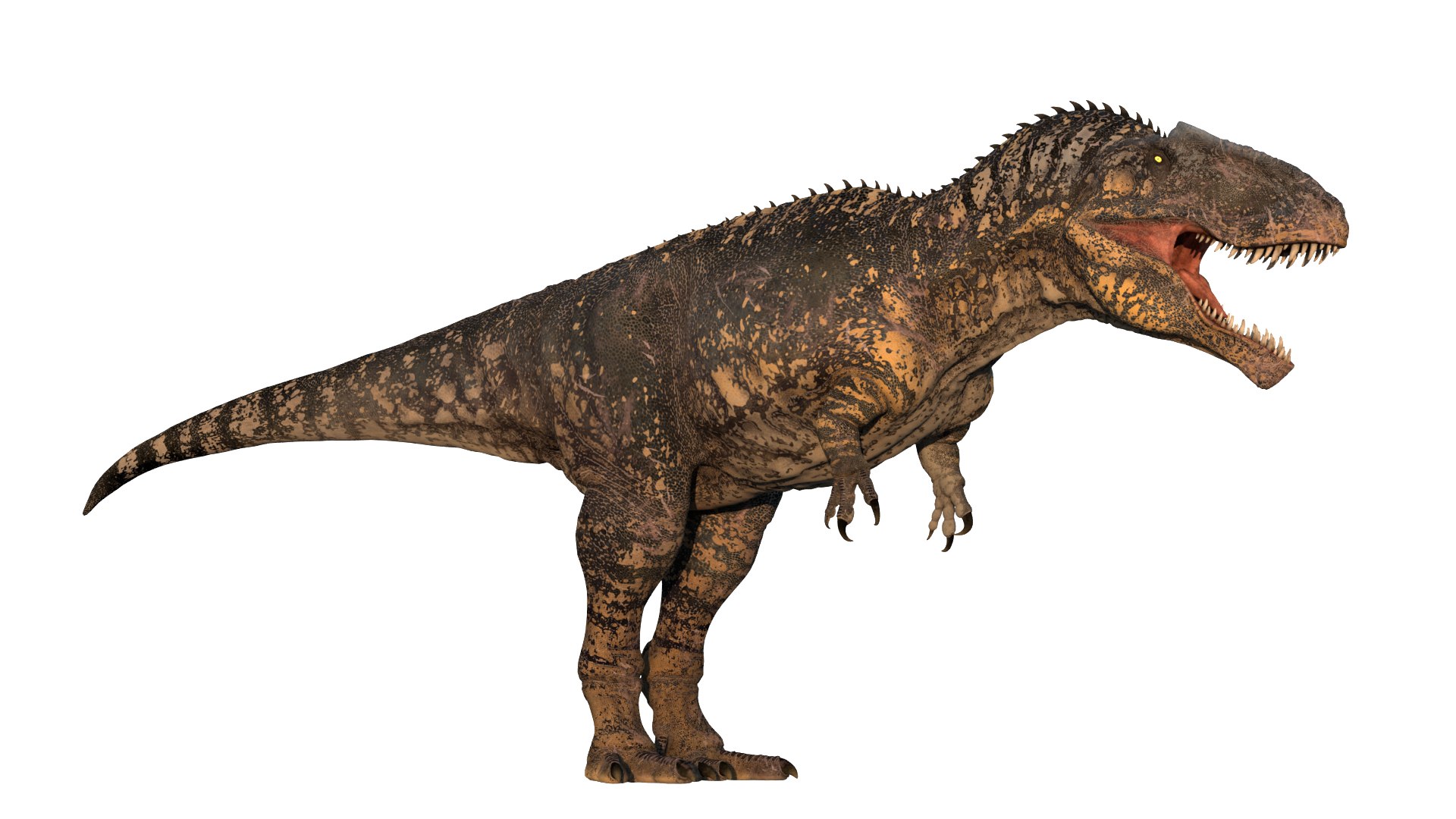 Giganotosaurus Low-poly 3D model 3D model https://p.turbosquid.com/ts-thumb/ip/FYKIyX/3j/dino03/png/1713625622/1920x1080/fit_q87/4d289d4426ce2a439acd70303a5a2f05b62384a0/dino03.jpg