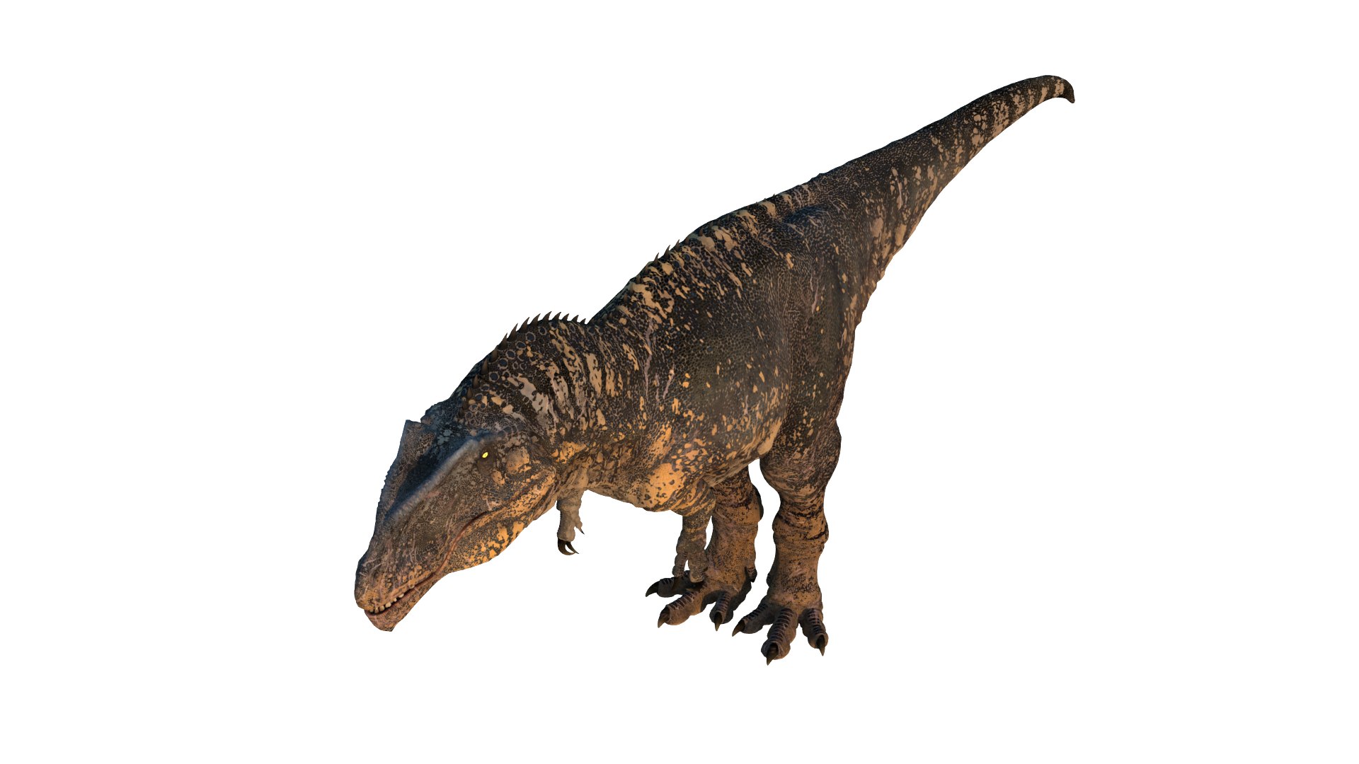 Giganotosaurus Low-poly 3D model 3D model https://p.turbosquid.com/ts-thumb/ip/FYKIyX/4x/dino13/png/1713625627/1920x1080/fit_q87/92ce8695897740010b95ca2ffe5422024040626a/dino13.jpg