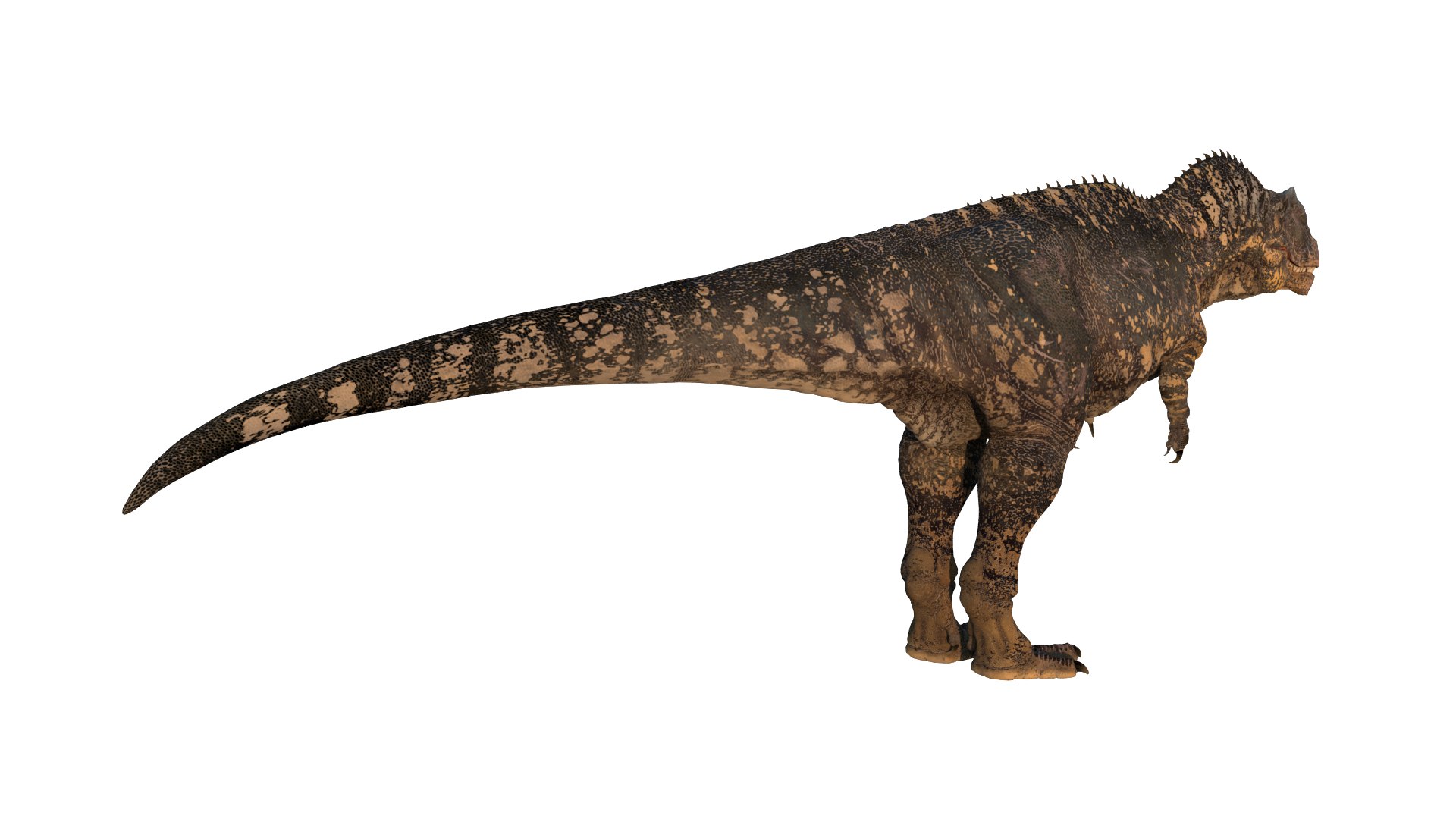 Giganotosaurus Low-poly 3D model 3D model https://p.turbosquid.com/ts-thumb/ip/FYKIyX/5p/dino08/png/1713625624/1920x1080/fit_q87/0f314f36ed3bdea12981338e3d4b84a57e640ee3/dino08.jpg