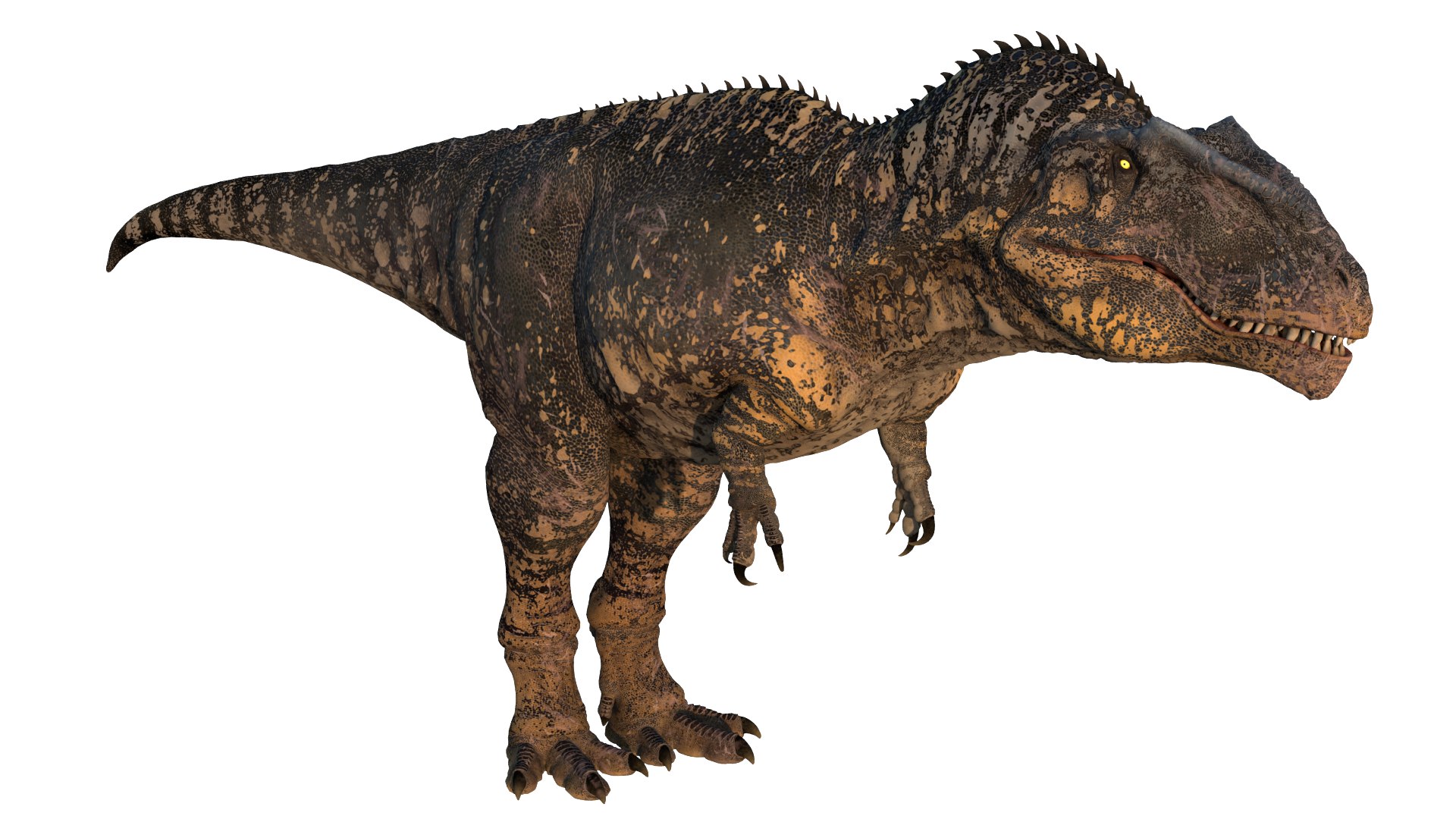 Giganotosaurus Low-poly 3D model 3D model https://p.turbosquid.com/ts-thumb/ip/FYKIyX/Du/dino06/png/1713625623/1920x1080/fit_q87/094e7caf8a12115f0bd8e2e7066b27770bf8d528/dino06.jpg