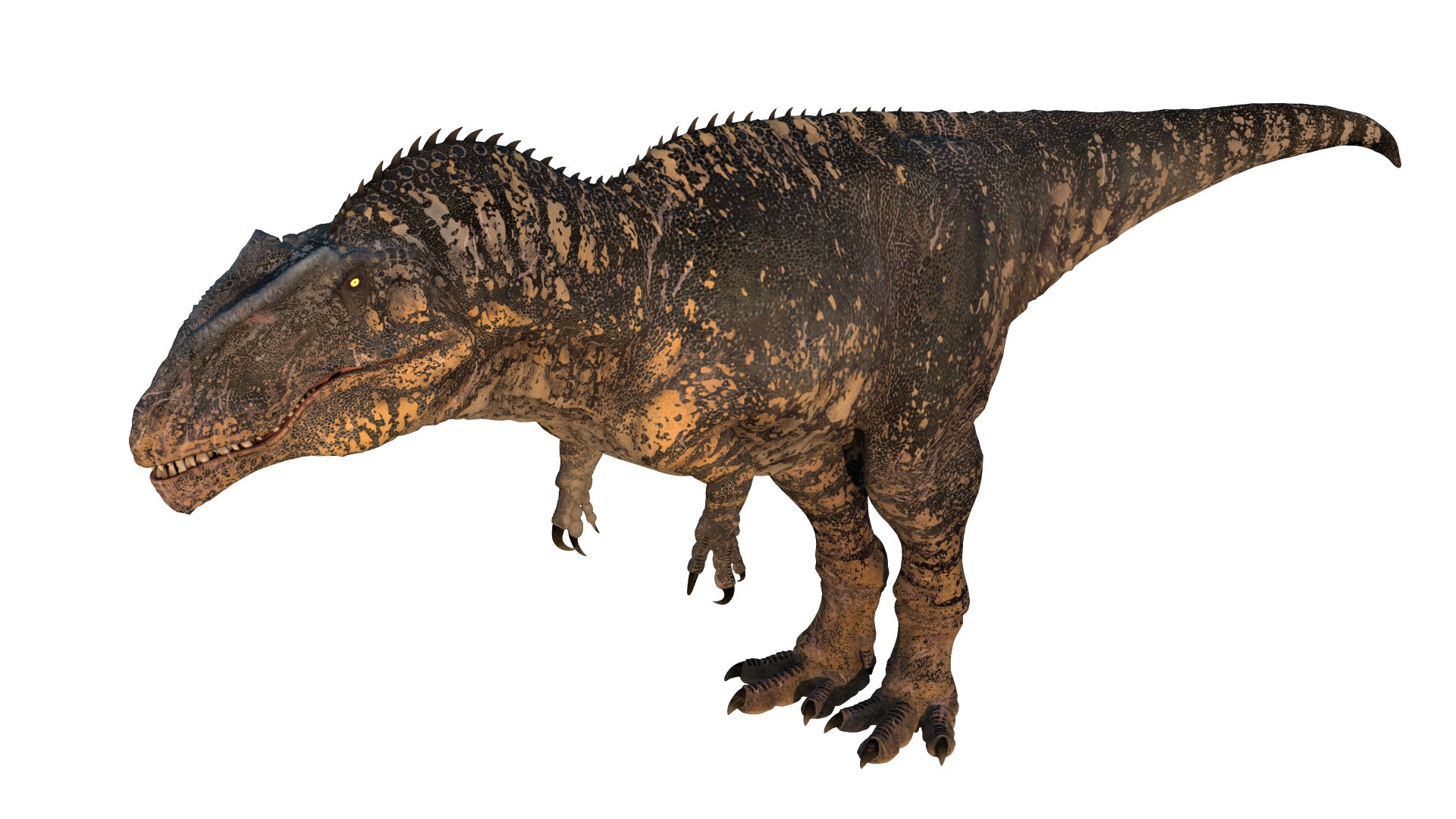Giganotosaurus Low-poly 3D model 3D model https://p.turbosquid.com/ts-thumb/ip/FYKIyX/It/dino04/png/1713625623/1920x1080/fit_q87/4efff0c84e0449f4e052f392d074610b4e9b8217/dino04.jpg