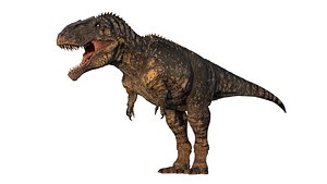 Giganotosaurus Low-poly 3D model 3D model