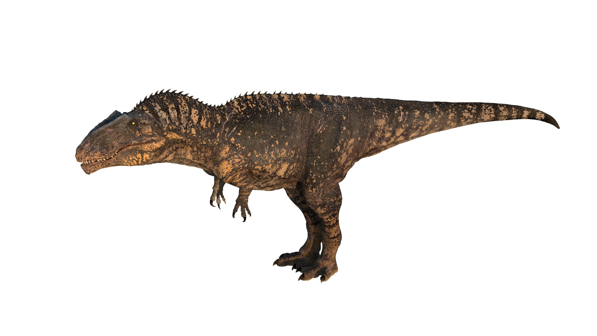 Giganotosaurus Low-poly 3D model 3D model https://p.turbosquid.com/ts-thumb/ip/FYKIyX/uY/dino12/png/1713625626/1920x1080/fit_q87/0347107caa7be89f64def1fd451c09274e5286c1/dino12.jpg