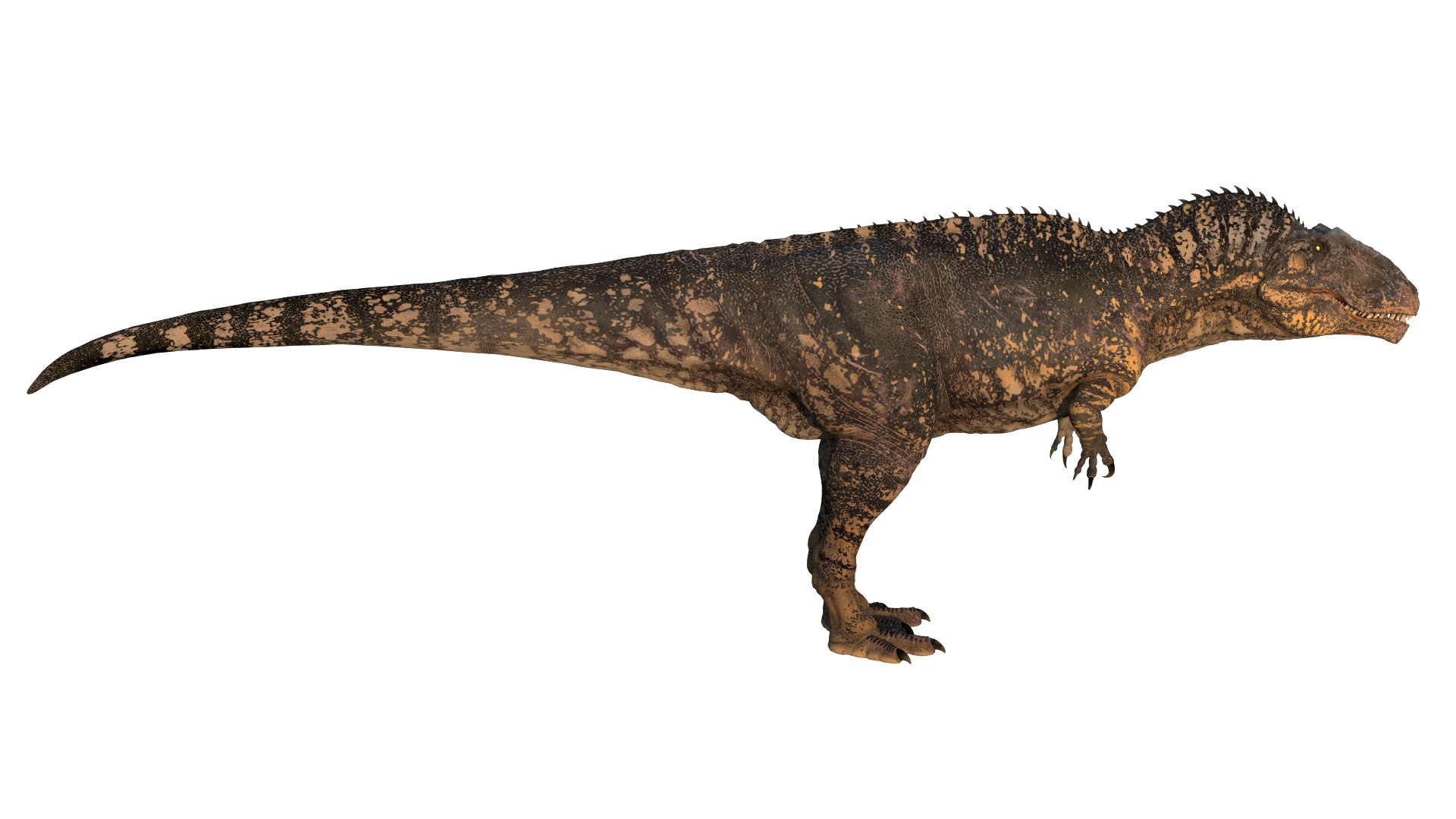 Giganotosaurus Low-poly 3D model 3D model https://p.turbosquid.com/ts-thumb/ip/FYKIyX/yY/dino07/png/1713625624/1920x1080/fit_q87/a46d76e68fdcb0c7f0b4eb8015d7ba741c36d58a/dino07.jpg