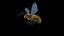Abeille Animée pour Cinema 4D