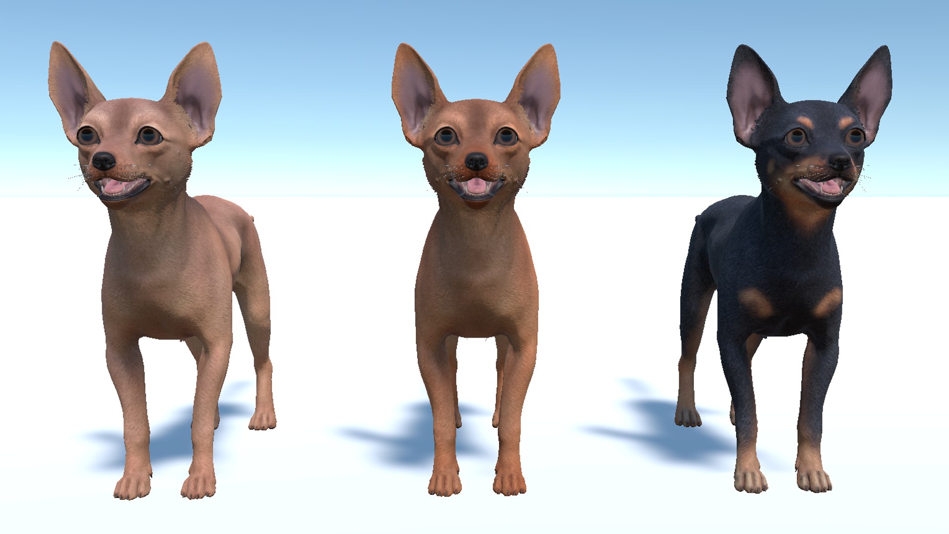 3D Dog - Toy Terrier model https://p.turbosquid.com/ts-thumb/ip/Ly0fWj/0r/8/png/1711720648/1920x1080/fit_q87/65139f82bb51cdf6246a3436b3f7073292c33a87/8.jpg