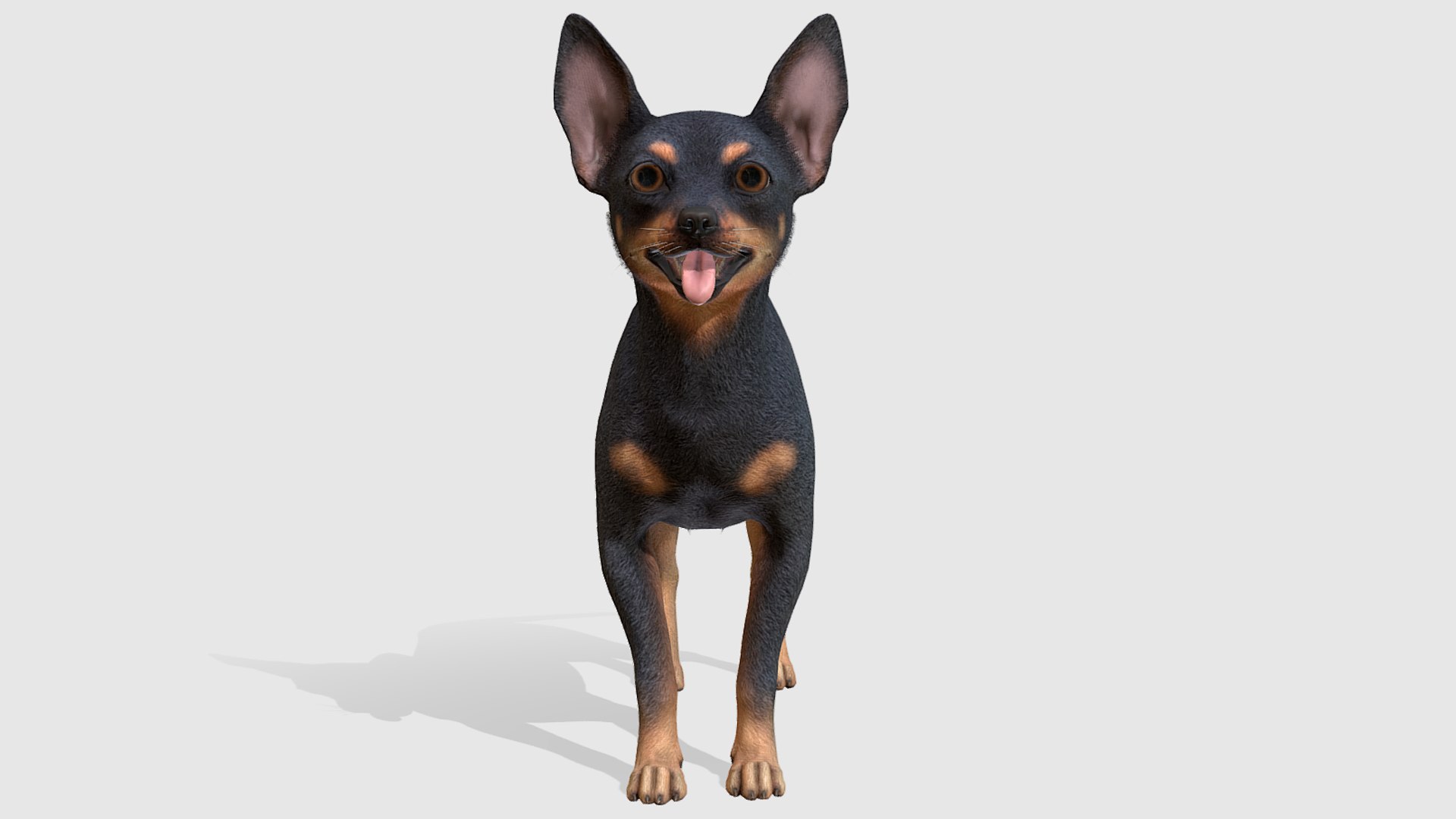 3D Dog - Toy Terrier model https://p.turbosquid.com/ts-thumb/ip/Ly0fWj/4C/2/png/1711720643/1920x1080/fit_q87/b33b6496a58f5b5c95239a0882fd747ea3660fb6/2.jpg