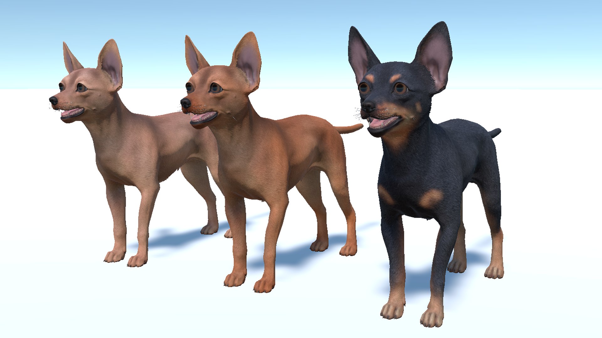 3D Dog - Toy Terrier model https://p.turbosquid.com/ts-thumb/ip/Ly0fWj/L8/7/png/1711720649/1920x1080/fit_q87/fd597940e410cc44276fa1ba4e5962b3dc9591c2/7.jpg