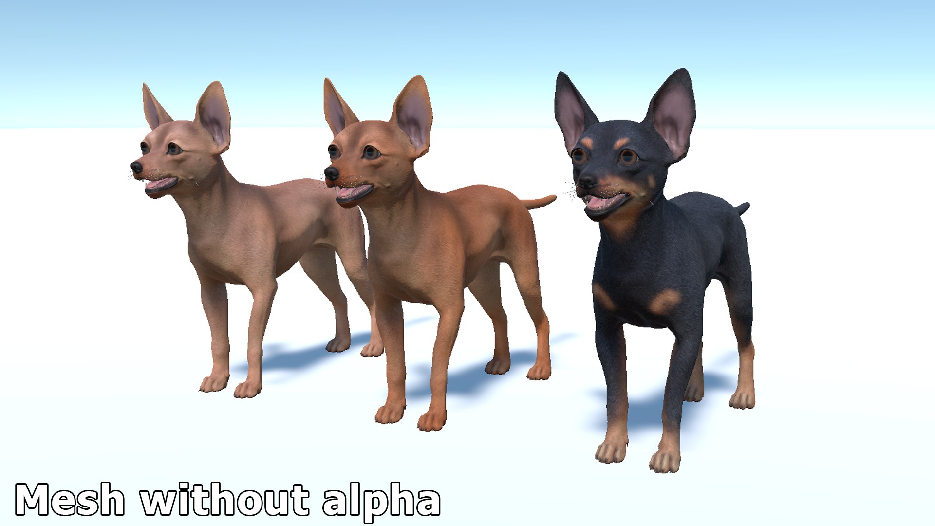 3D Dog - Toy Terrier model https://p.turbosquid.com/ts-thumb/ip/Ly0fWj/ll/13/png/1711720652/1920x1080/fit_q87/81355aafc7f37ef643cbddfd73c190a3a8bd021a/13.jpg