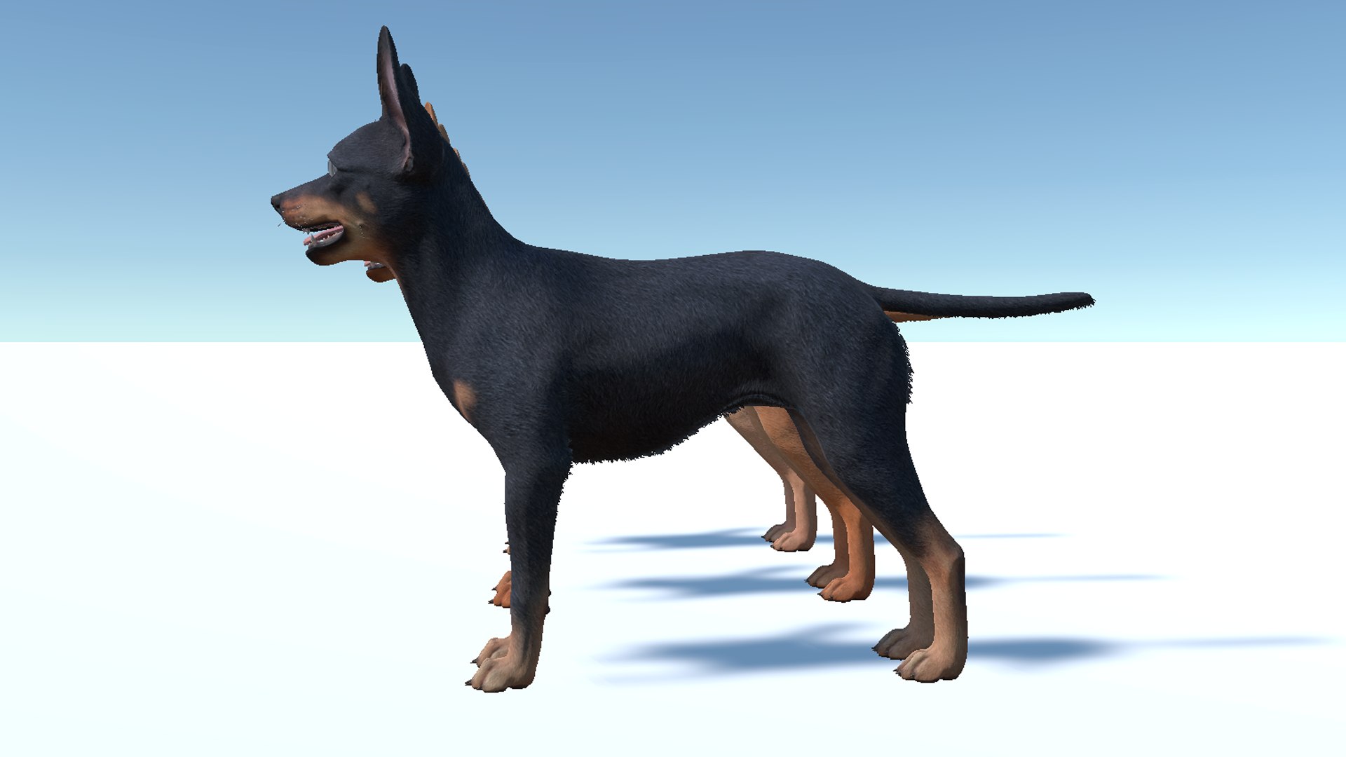 3D Dog - Toy Terrier model https://p.turbosquid.com/ts-thumb/ip/Ly0fWj/oF/11/png/1711720650/1920x1080/fit_q87/85d19a0f352ee313745c7f9253d8d3f44ab6dff6/11.jpg