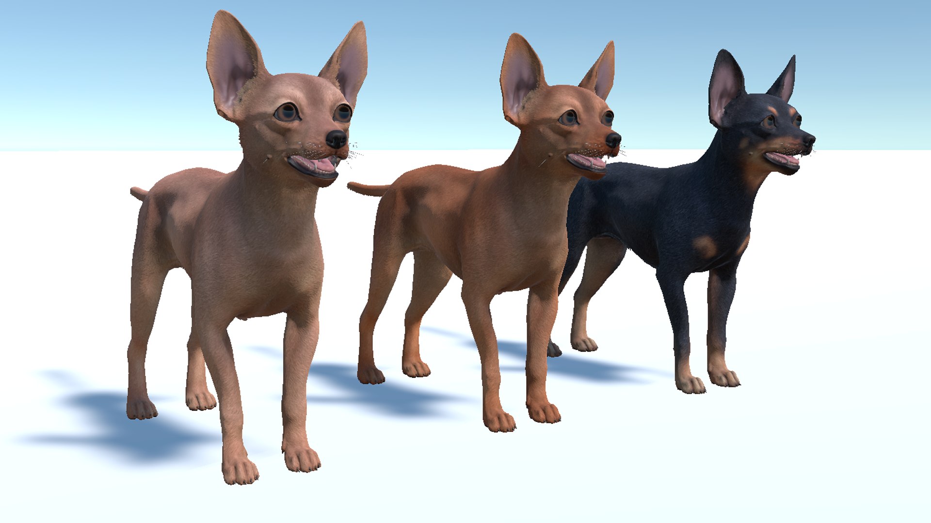 3D Dog - Toy Terrier model https://p.turbosquid.com/ts-thumb/ip/Ly0fWj/xz/9/png/1711720649/1920x1080/fit_q87/22dcc4438a5c71bb0e77f2f9950704391c96df66/9.jpg