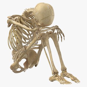 3D model Real Human Female Skeleton Pose 107(1)