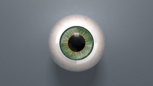 eyeball eye ball 3D model