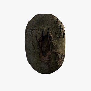 Anydrafts Cinnamomum burmannii Burl 10