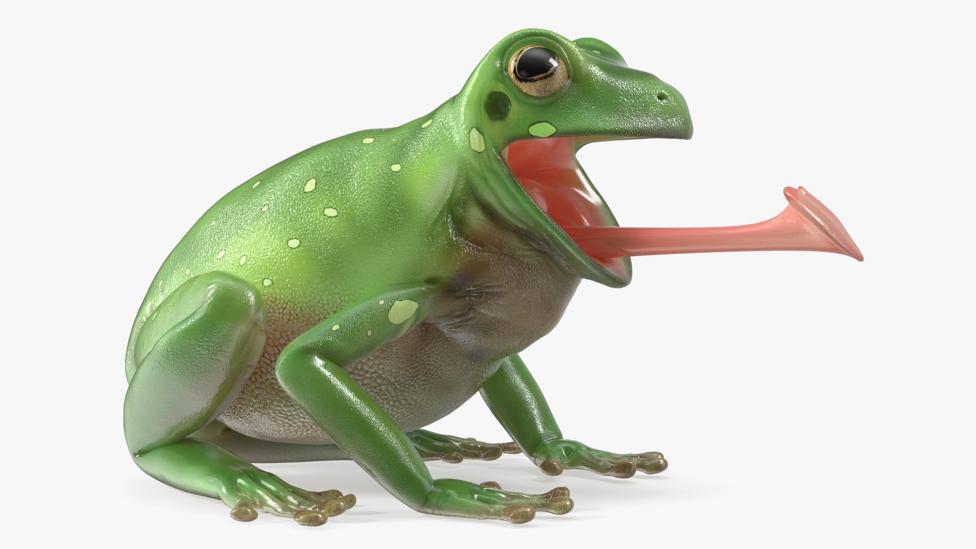 3D Australian Green Tree Frog With Extended Tongue Model - TurboSquid ...