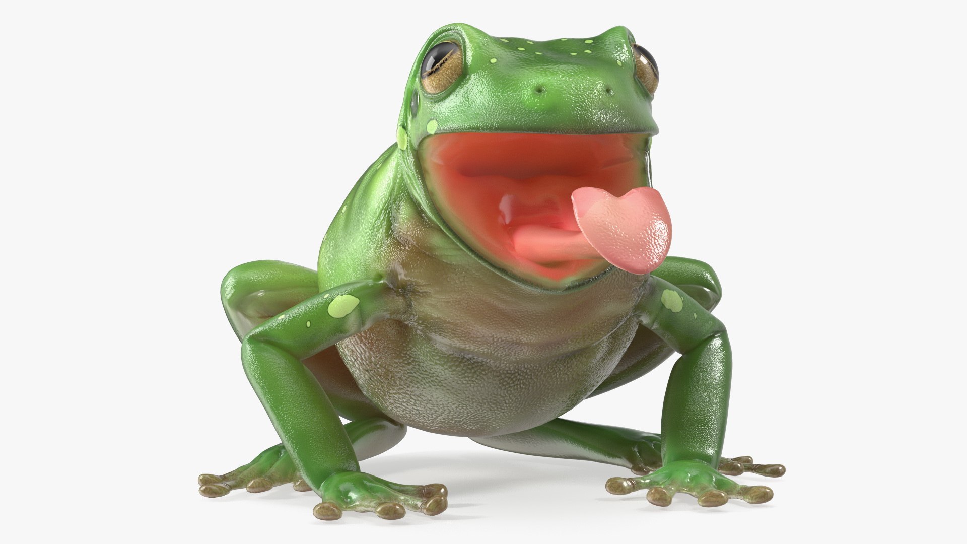 3D Australian Green Tree Frog With Extended Tongue Model - TurboSquid ...