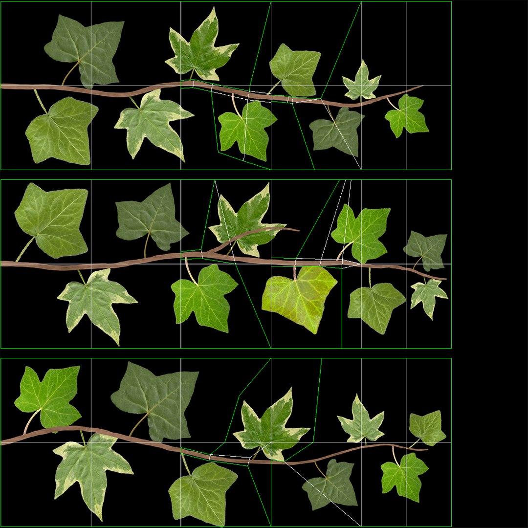 ivy patch 20x1 5m 3D model https://p.turbosquid.com/ts-thumb/ip/cP2N3C/2nflrDEn/ivy_patch_20x1_5_wuv/jpg/1600261771/1920x1080/fit_q87/d0110466accbefae25e3f637b9f1ddf0c6746c51/ivy_patch_20x1_5_wuv.jpg