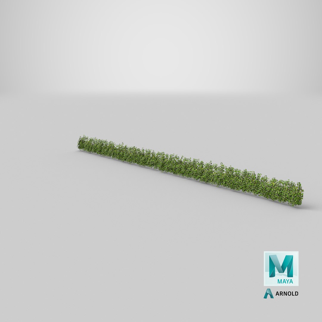 ivy patch 20x1 5m 3D model https://p.turbosquid.com/ts-thumb/ip/cP2N3C/2oGXxUxe/stemcell_maya_arnold_render/png/1603135484/1920x1080/fit_q87/630ce24b7e19757919c431bc93834f61842523c2/stemcell_maya_arnold_render.jpg