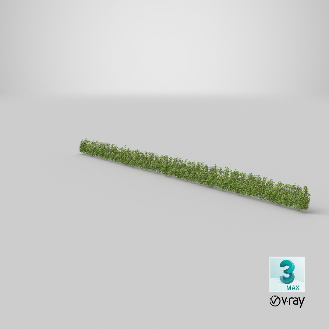 ivy patch 20x1 5m 3D model https://p.turbosquid.com/ts-thumb/ip/cP2N3C/72gwBhtl/stemcell_max_vray_render/png/1603135481/1920x1080/fit_q87/f485f27506d3b17b27c9b4597b515887a0465e74/stemcell_max_vray_render.jpg