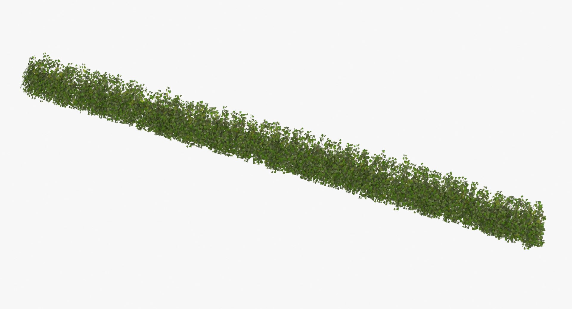 ivy patch 20x1 5m 3D model https://p.turbosquid.com/ts-thumb/ip/cP2N3C/81W6TVug/ivy_patch_20x1_5_thumbnail_0003/jpg/1600261769/1920x1080/fit_q87/ea2c64814d00a69a1a30c68ee5673af2d1a1409a/ivy_patch_20x1_5_thumbnail_0003.jpg