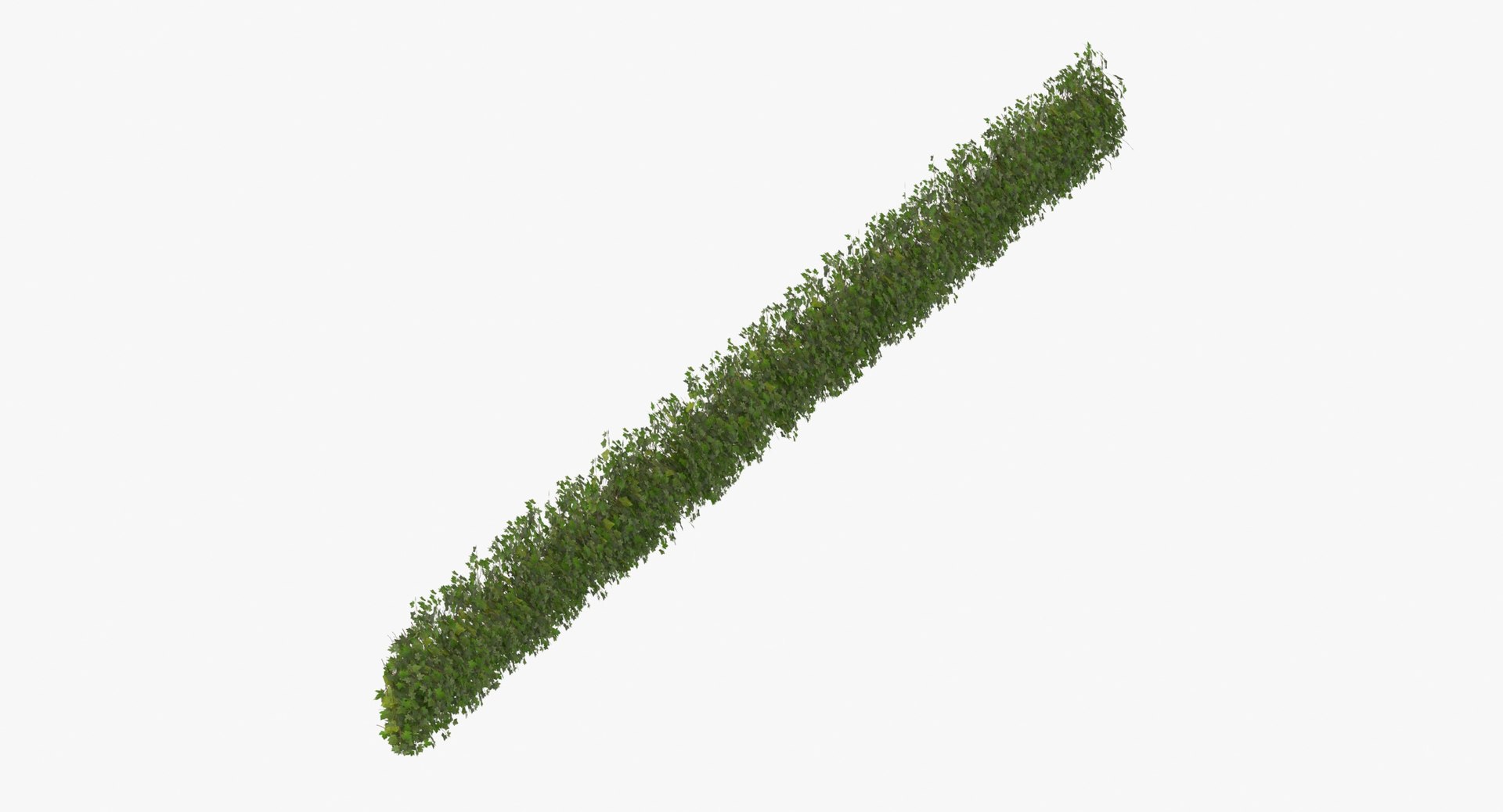 ivy patch 20x1 5m 3D model https://p.turbosquid.com/ts-thumb/ip/cP2N3C/EDprImjQ/ivy_patch_20x1_5_thumbnail_0002/jpg/1600261768/1920x1080/fit_q87/84dc2b4b0a74ef4771350c2440c941257a68b8a3/ivy_patch_20x1_5_thumbnail_0002.jpg