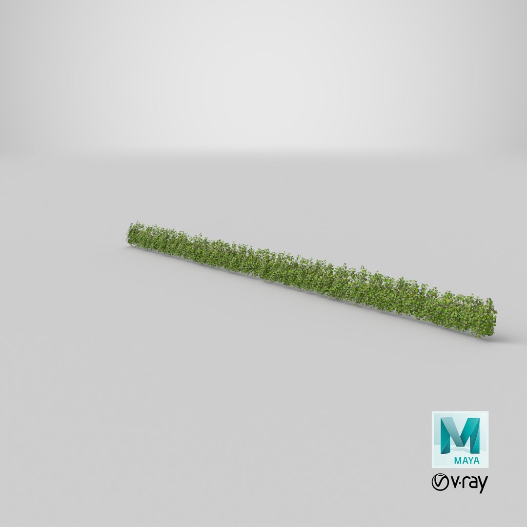 ivy patch 20x1 5m 3D model https://p.turbosquid.com/ts-thumb/ip/cP2N3C/Lqn754OG/stemcell_maya_vray_render/png/1603135490/1920x1080/fit_q87/31103efb1ae1a3b6542f496c87346f9f59ff368b/stemcell_maya_vray_render.jpg